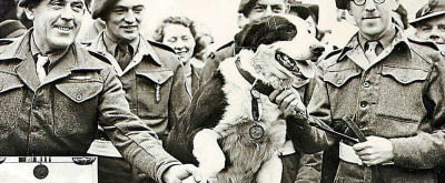 Animales durante la Segunda Guerra Mundial 